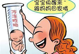 胚胎专家